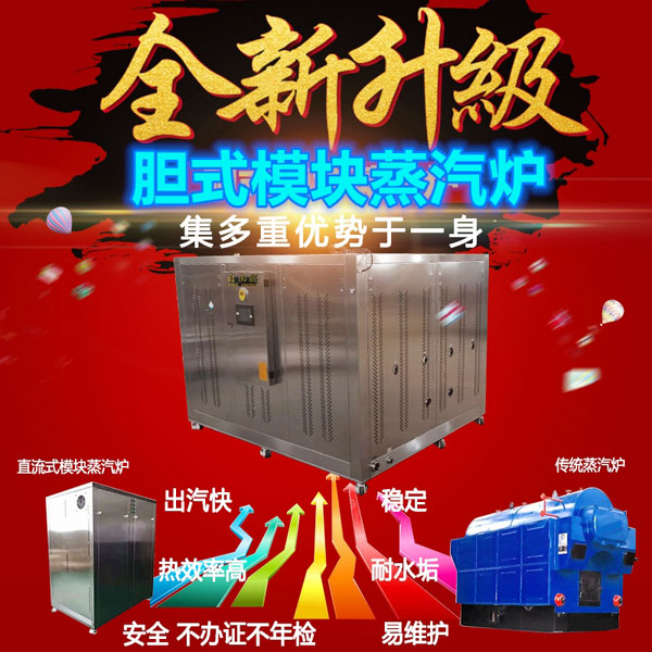 膽式模塊蒸汽爐